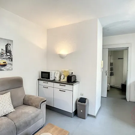 F2 Avec Veranda, Wifi Et Animaux Acceptes Proche Thermes Et Parc - - Fr-1-451-171 Apartment *