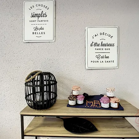 Apartment F2 Avec Veranda, Wifi Et Animaux Acceptes Proche Thermes Et Parc - - Fr-1-451-171 *